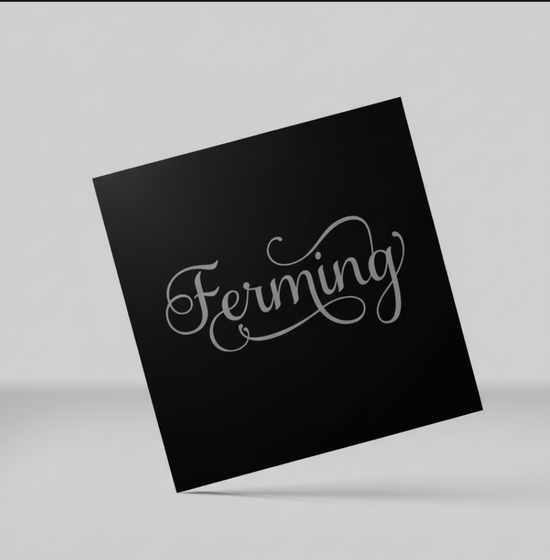 Servíettur — Ferming, svartar með silfur letri